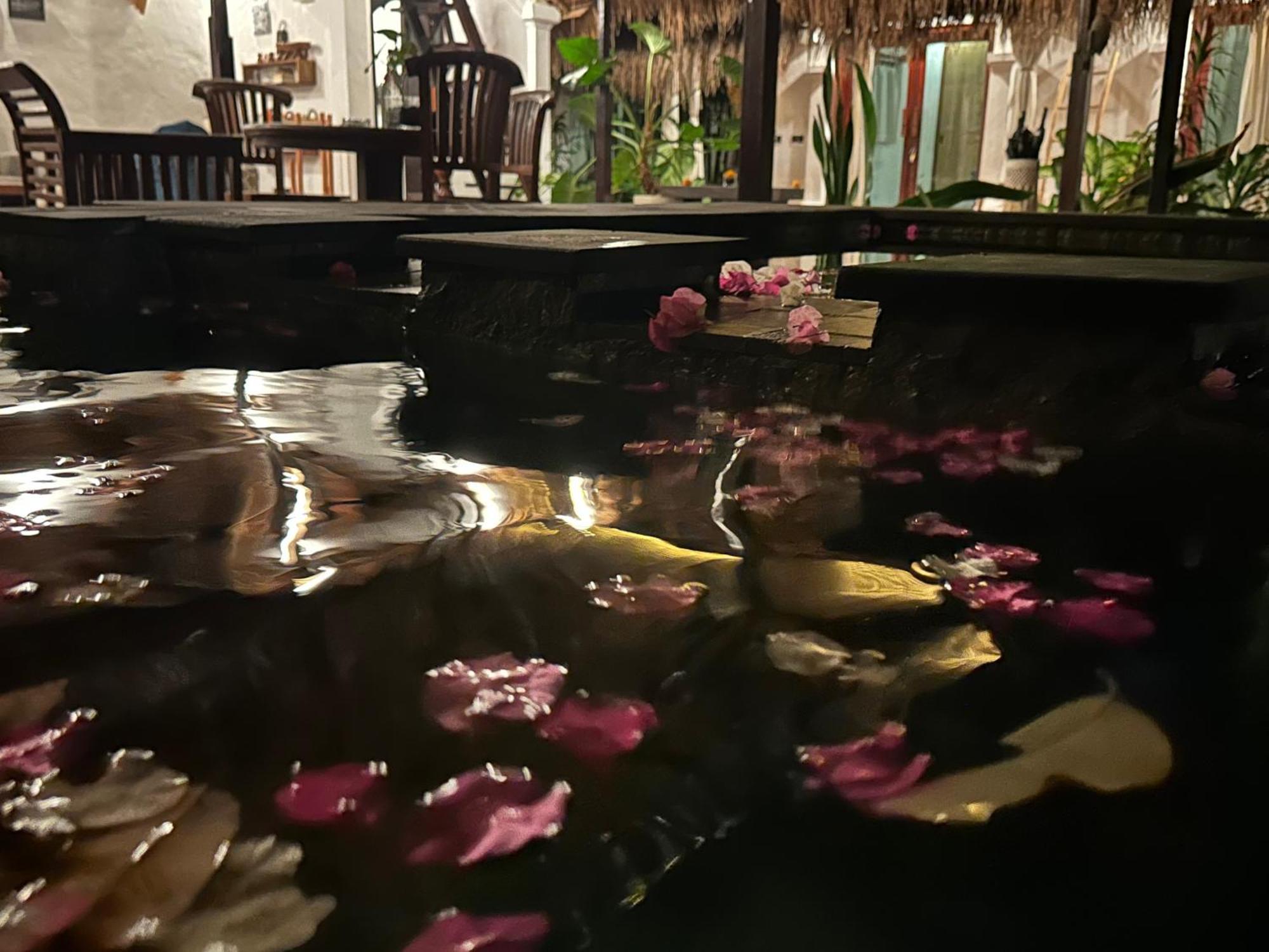 My Secret Home سمينياك المظهر الخارجي الصورة