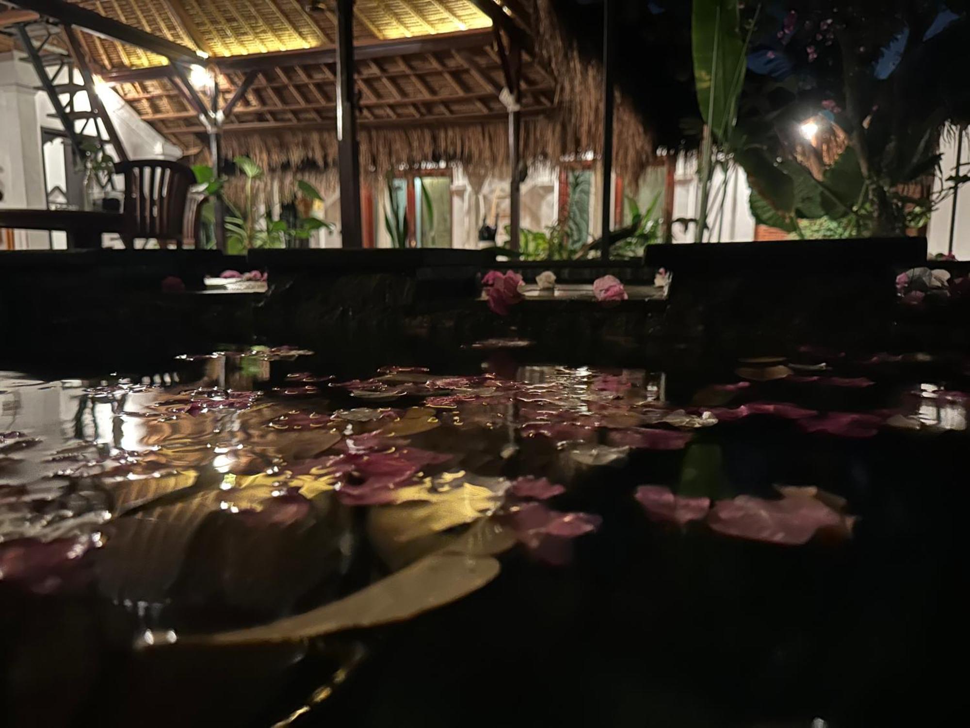 My Secret Home سمينياك المظهر الخارجي الصورة